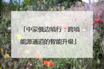 中蒙俄边境行：跨境能源通道的智能升级