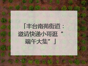 丰台南苑街道：邀请快递小哥逛“端午大集”