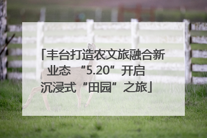 丰台打造农文旅融合新业态 “5.20”开启沉浸式“田园”之旅