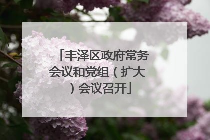 丰泽区政府常务会议和党组（扩大）会议召开