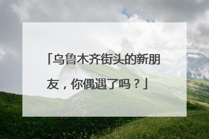 乌鲁木齐街头的新朋友，你偶遇了吗？