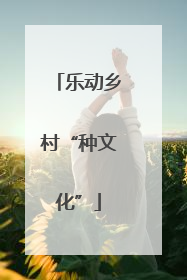 乐动乡村“种文化”