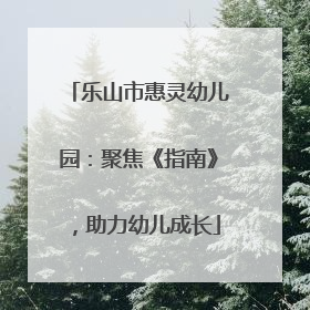 乐山市惠灵幼儿园：聚焦《指南》，助力幼儿成长