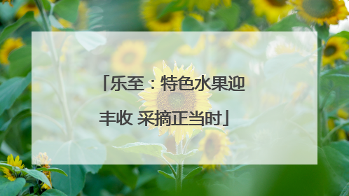 乐至：特色水果迎丰收 采摘正当时