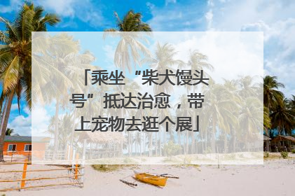 乘坐“柴犬馒头号”抵达治愈，带上宠物去逛个展