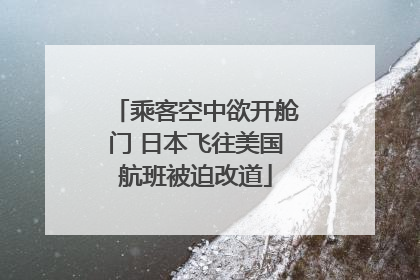 乘客空中欲开舱门 日本飞往美国航班被迫改道