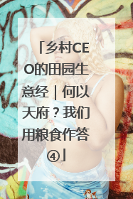 乡村CEO的田园生意经｜何以天府？我们用粮食作答④