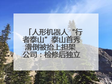 人形机器人“行者泰山”泰山首秀滑倒被抬上担架 公司：检修后独立下山 测试就是为暴露问题