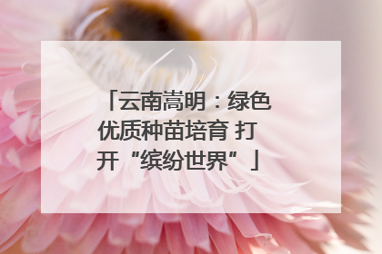 云南嵩明：绿色优质种苗培育 打开“缤纷世界”