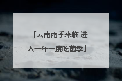 云南雨季来临 进入一年一度吃菌季