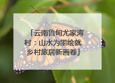 云南鲁甸尤家湾村：山水为墨绘就乡村旅居新画卷