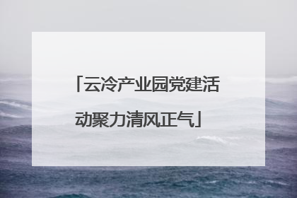 云冷产业园党建活动聚力清风正气