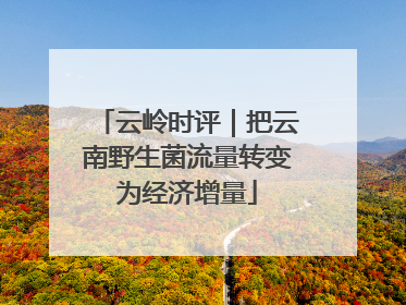 云岭时评｜把云南野生菌流量转变为经济增量