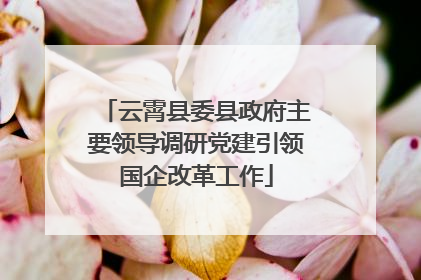 云霄县委县政府主要领导调研党建引领国企改革工作