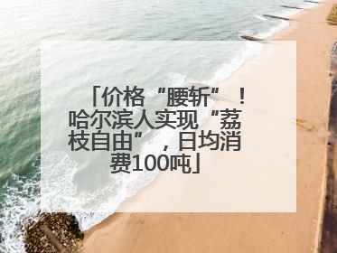 价格“腰斩”！哈尔滨人实现“荔枝自由”，日均消费100吨