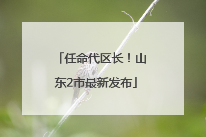 任命代区长！山东2市最新发布