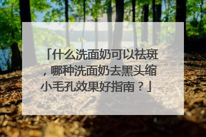 什么洗面奶可以祛斑，哪种洗面奶去黑头缩小毛孔效果好指南？