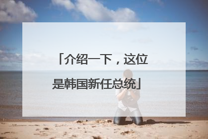 介绍一下，这位是韩国新任总统
