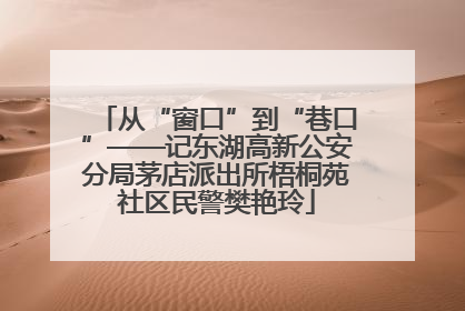 从“窗口”到“巷口”——记东湖高新公安分局茅店派出所梧桐苑社区民警樊艳玲