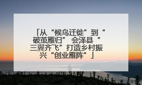 从“候鸟迁徙”到“破茧雁归” 会泽县“三翼齐飞”打造乡村振兴“创业雁阵”