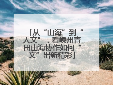 从“山海”到“人文”，看嵊州青田山海协作如何“文”出新精彩