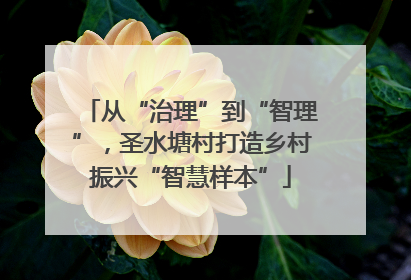 从“治理”到“智理”，圣水塘村打造乡村振兴“智慧样本”