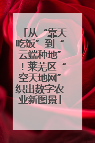从“靠天吃饭”到“云端种地”！莱芜区“空天地网”织出数字农业新图景