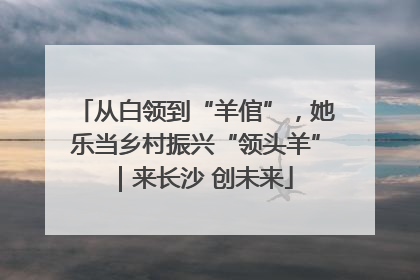 从白领到“羊倌”，她乐当乡村振兴“领头羊”｜来长沙 创未来