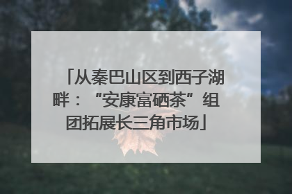 从秦巴山区到西子湖畔：“安康富硒茶”组团拓展长三角市场
