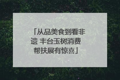 从品美食到看非遗 丰台玉树消费帮扶展有惊喜