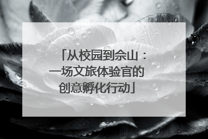从校园到佘山：一场文旅体验官的创意孵化行动