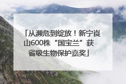 从濒危到绽放！新宁崀山600株“国宝兰”获省级生物保护嘉奖
