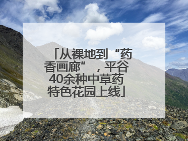 从裸地到“药香画廊”，平谷40余种中草药特色花园上线