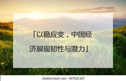 以稳应变，中国经济展现韧性与潜力
