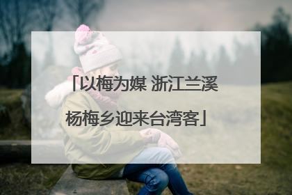 以梅为媒 浙江兰溪杨梅乡迎来台湾客