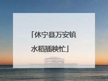 休宁县万安镇水稻插秧忙