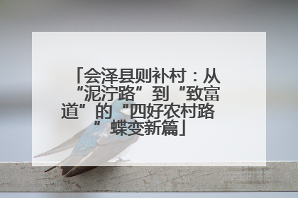 会泽县则补村：从“泥泞路”到“致富道”的“四好农村路”蝶变新篇