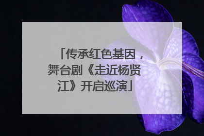 传承红色基因，舞台剧《走近杨贤江》开启巡演