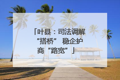 叶县：司法调解“搭桥” 稳企护商“路宽”