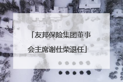 友邦保险集团董事会主席谢仕荣退任