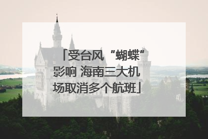受台风“蝴蝶”影响 海南三大机场取消多个航班