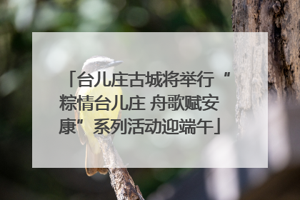 台儿庄古城将举行“粽情台儿庄 舟歌赋安康”系列活动迎端午