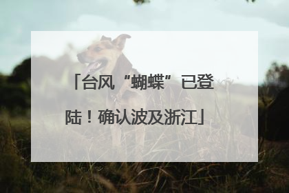 台风“蝴蝶”已登陆！确认波及浙江