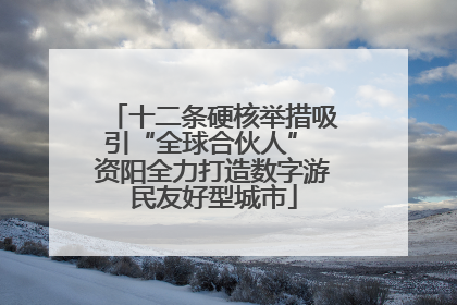 十二条硬核举措吸引“全球合伙人” 资阳全力打造数字游民友好型城市