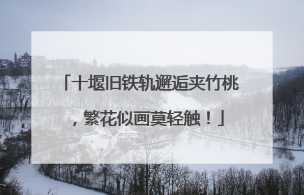 十堰旧铁轨邂逅夹竹桃，繁花似画莫轻触！