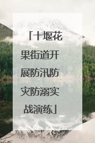 十堰花果街道开展防汛防灾防溺实战演练