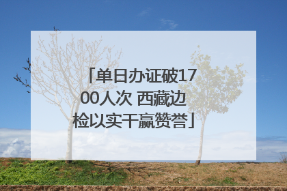 单日办证破1700人次 西藏边检以实干赢赞誉