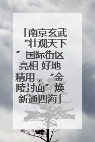 南京玄武“壮观天下”国际街区亮相 好地精用，“金陵封面”焕新通四海