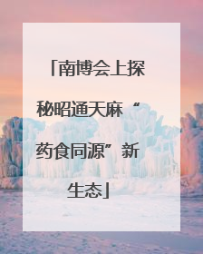 南博会上探秘昭通天麻“药食同源”新生态