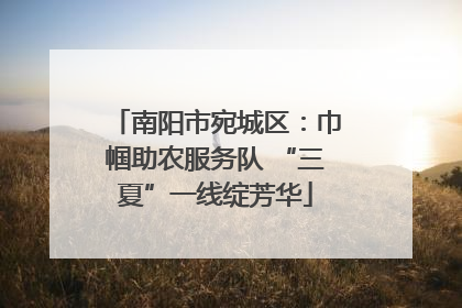 南阳市宛城区：巾帼助农服务队 “三夏”一线绽芳华